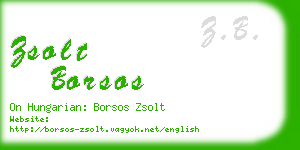 zsolt borsos business card